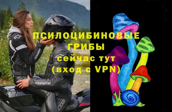 эйфоретик Верея