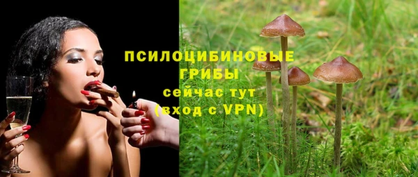 дурь Волосово